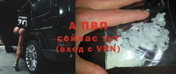 Альфа ПВП Белокуриха