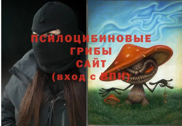 Альфа ПВП Белокуриха